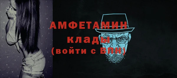 сатива Каменногорск
