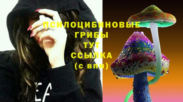 сатива Каменногорск