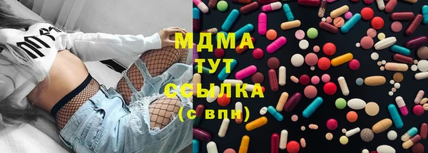 сатива Каменногорск