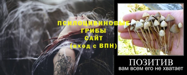 мяу мяу мука Каменка